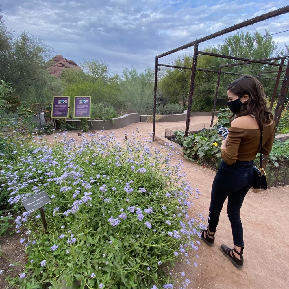 Meet your Posher, Erika